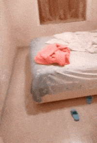 罗汉|搞笑GIF动图：睡罗汉附体啦？你这睡觉功夫太厉害了！