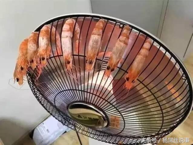 奇事|大千世界还有哪些？我们为所未闻的奇人奇事