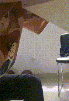 妹子|搞笑GIF：这只鸭子是在干什么，