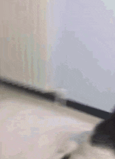 兜子|搞笑GIF趣图：媳妇，我衣服上的兜子哪去了