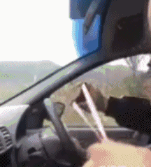 儿子|搞笑gif：一山不容二虎，除非是一公一母