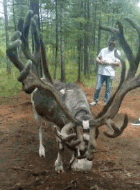 女神|女友不喜欢的情侣装, 硬塞的后果是她性情大变!