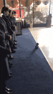 事实|事实证明，跳舞是不能减肥的！