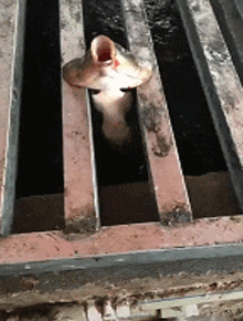 洗衣机|搞笑GIF：别生气了！洗衣机已经买了！以后你都不会这么累了！