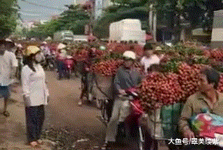 听话|趣味GIF：不听话？我扔了你！！