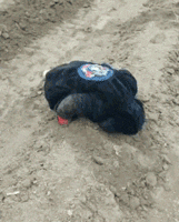 过分|GIF搞笑趣图：你们太过分了！都走吧！我不想再见到你们！