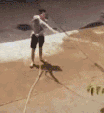 水上漂|搞笑GIF：不收微信支付宝，你说我要是出门不带钱，你让不让我吃