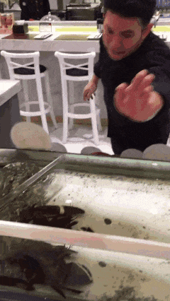 还是|搞笑GIF趣图：妹子，你到底是冲浪呢，还是太浪呢