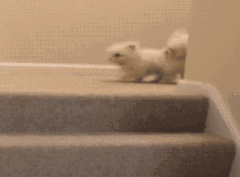 队友|遇上坑爹的狗队友,总是让人毫无防备又哭笑不得!