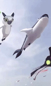 孩子|搞笑GIF动图：这女朋友要不得，想哄她你都追不上