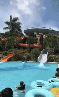 大神|搞笑GIF：这妹子说的什么大神翻译下