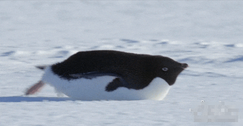 尴尬|搞笑GIF:这就尴尬了,一群男人看的很开心!!!