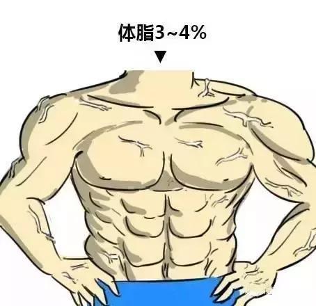 腹肌|9个动作把体脂率减到可以看见六块腹肌？