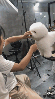 妹子|搞笑GIF：听说拍打更易吸收，看着好疼啊！