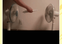 老外|搞笑GIF：老外车内看着悠哉。。车外。。。