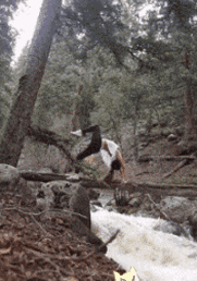 老板|搞笑段子：有个客户开养生馆的，经常在朋友圈讲吃素的好处。