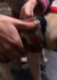 妹子|搞笑GIF趣图：妹子，你这是怎么了？我怎么就没看懂呢？