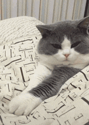 下雪天|搞笑GIF：聪明的宝宝，这样真的可以搬动了吗