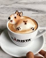 柯基|我给大家表演个真正的技术，千万别眨眼！