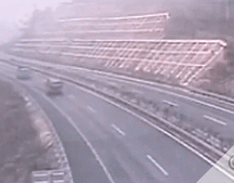 搞笑|搞笑gif,个个都是人才,说话又好听,超喜欢在里面