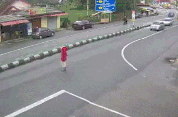 不为瓦全|搞笑GIF:猪:宁为玉碎不为瓦全!