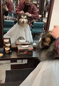 孩子|搞笑GIF动图：这女朋友要不得，想哄她你都追不上