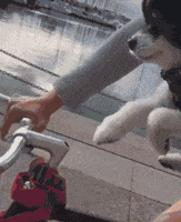 炎炎|搞笑GIF：每日一发，炎炎夏日博您一笑！