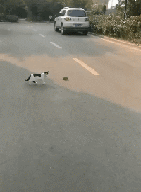 妹子|搞笑GIF动图：十元一次，套中妹子就带走，为什么一直套不住呢？