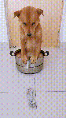 中午|GIF搞笑趣图：你这是怎么了？是不是很委屈啊！中午我也没吃饭！