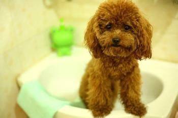 老婆|内涵段子合集 你那点钱怎么养我