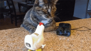 对劲|搞笑GIF: 不练了, 感觉后面不对劲! !