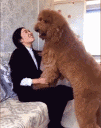 尴尬|搞笑GIF趣图:你也曾经有过夹不起菜的尴尬吗?