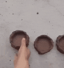 小娘|小娘们一言不合就趴墙头,隔壁大叔乐坏了,细心的王大妈找到亮点