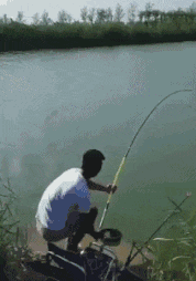 白特|搞笑GIF: 这点高度都跨不过去? ! 白特么养你了。