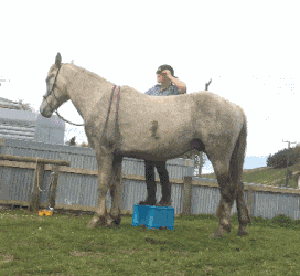 因为|搞笑GIF趣图:一碗加了辣的外卖,发现男友出轨了…