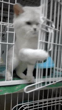 姑娘家|搞笑GIF:典型的越老越帅呀