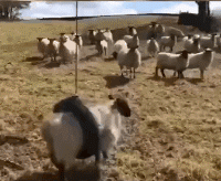 就是|搞笑GIF:姑娘换衣服就是任性,大家赶紧都学着点