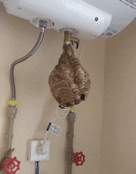 含糖量|爆笑GIF: 你家的热水器,估计含糖量很高吧