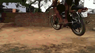 还是|搞笑gif趣图: 难道我平时给你的肉肉还不够你吃的?还是你想尝点新鲜的?