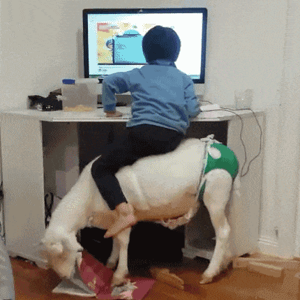 不可思议|搞笑GIF:女人的心思你别猜,这小哥觉得太不可思议了!