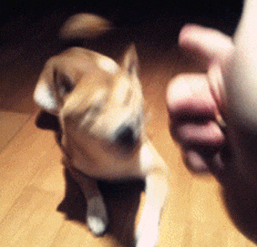 学驾|搞笑GIF:现在这些男人……