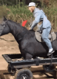 搞笑|搞笑GIF：你果然外面有狗了