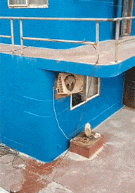 冬天|搞笑gif: 大冬天玩泼水,你们不冷吗!