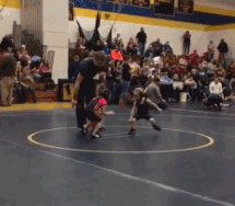 山羊|搞笑GIF趣图：为何去找山羊看病而不去找绵羊看病