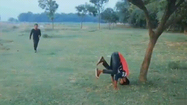 厉害|搞笑GIF:主人遛大狗,大狗遛小狗