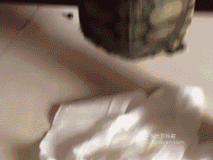 胆子|每日一笑，喵：谁给你的胆子亲我