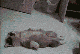 我要|搞笑GIF：我才发现，是在给我打针吗，那我要哭一下