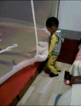 哥哥|搞笑GIF:刚结婚那会儿，媳妇总喊我哥哥说了她几次