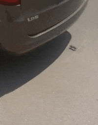 哥们|搞笑GIF趣图:哥们,你赶快醒醒,哈喇子都流出来了