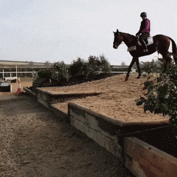 救人者|搞笑GIF动图:你是穿睡衣中打鼓打的最好的